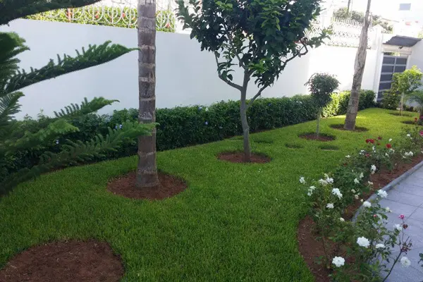 Societe creation jardins Casabalanca
