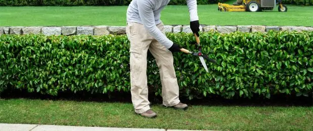 societe de jardinage pour les profesionnels Casabalanca