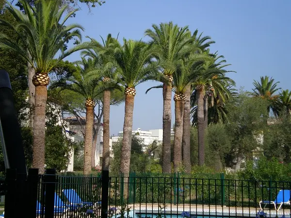 poncage-cristallisation-marbres-casablanca Société de jardinageet Cristallisation du marbre à Casablanca