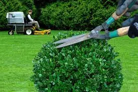 Société de jardinageet Cristallisation du marbre à Casablanca